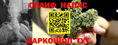 PSILOCYBIN Изобильный
