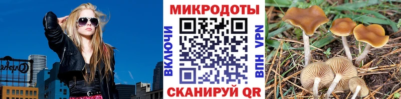 Псилоцибиновые грибы мицелий  Купить где  Новокубанск 