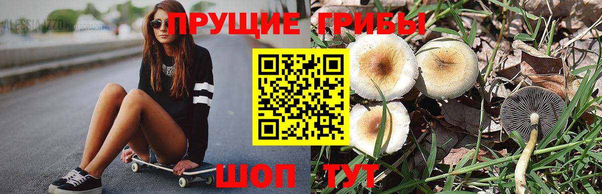 Новокубанск  Псилоцибиновые грибы Psilocybe  Галлюциногенные грибы Cubensis  Вход с VPN 